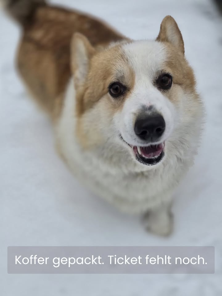 Menschen für Tiere grenzenlos