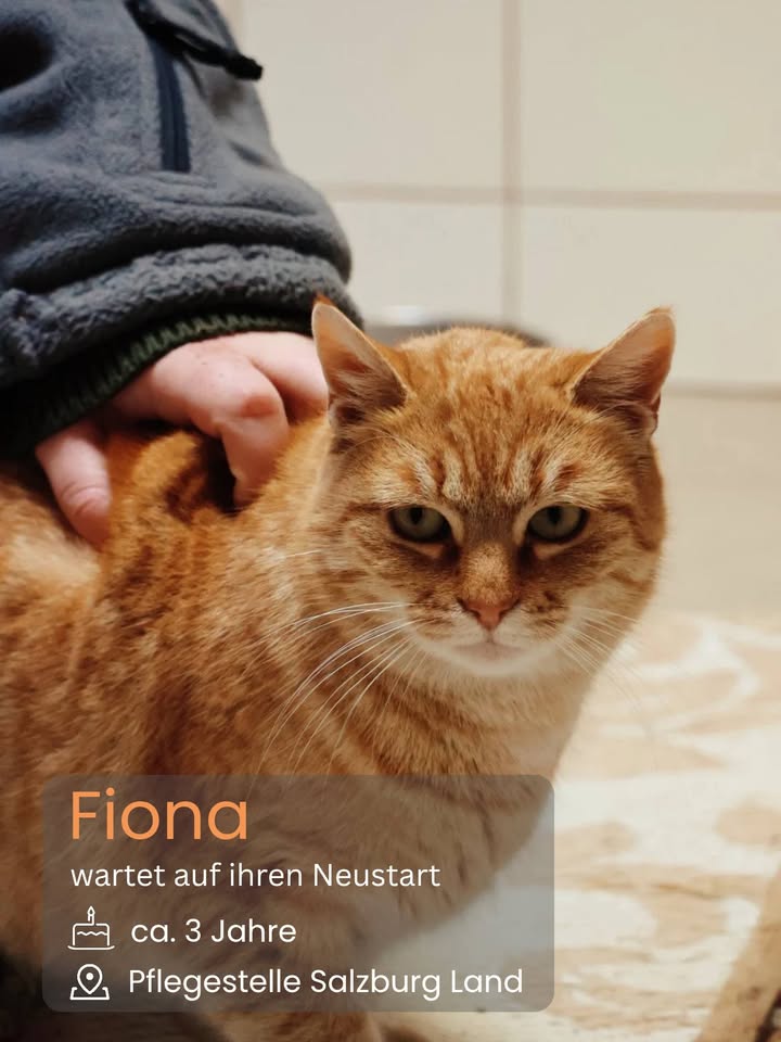 Menschen für Tiere grenzenlos