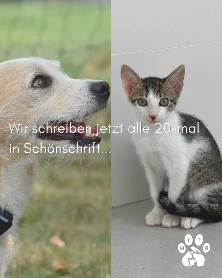 Menschen für Tiere grenzenlos