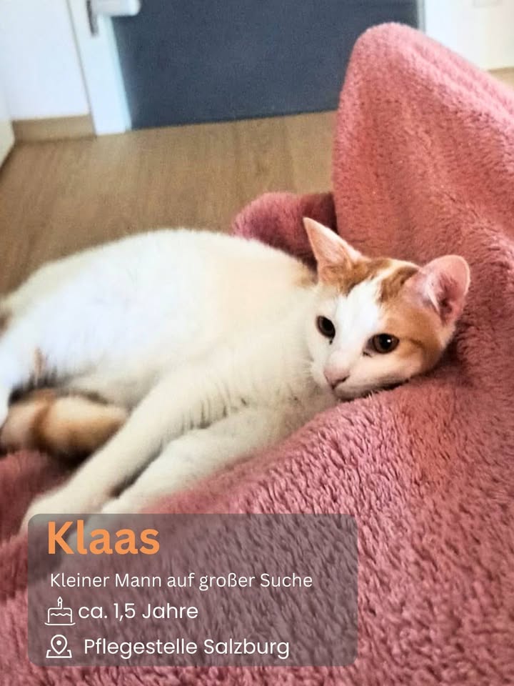 Menschen für Tiere grenzenlos