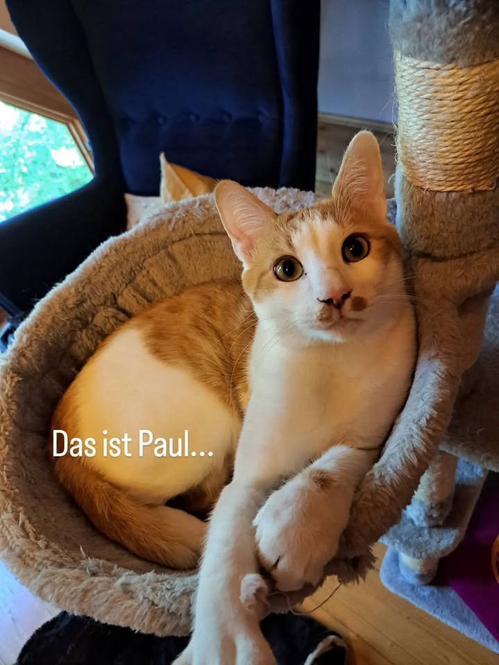 Menschen für Tiere grenzenlos